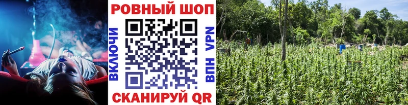 Купить наркотики сайты Тогучин COCAIN  МЕФ  МЕГА зеркало  Марихуана  ГАШ 
