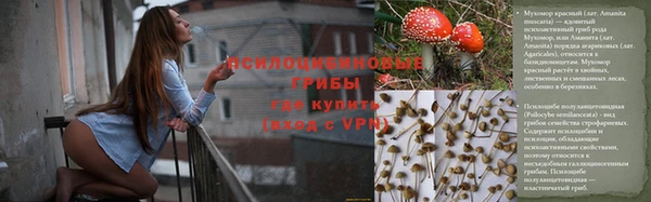 эйфоретик Алексин
