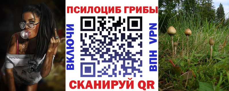 darknet телеграм как найти наркотики Тогучин Псилоцибиновые грибы Cubensis